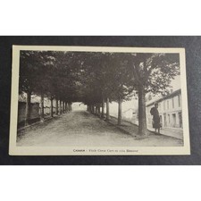 Cartolina cavaria viale usato  Alessandria