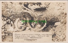History postcard frozen for sale  WATERLOOVILLE