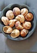 weinbergschnecken gebraucht kaufen weinbergschnecken gebraucht kaufen Berlin