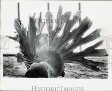 1974 press photo for sale  Memphis