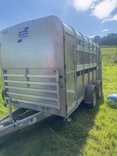 ifor williams livestock trailer for sale ifor williams livestock trailer for sale BUXTON