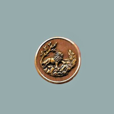 Bouton ancien 1900 d'occasion  Angers-