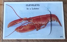 Novelty pull postcard for sale  WORTHING