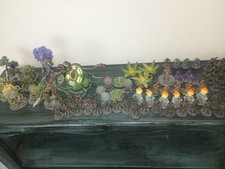 Criaturas de jardim de plantas para masmorras e dragões! Dungeon Master Pathfinder comprar usado  Enviando para Brazil