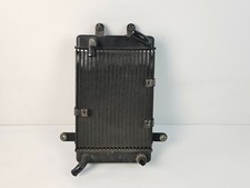 Radiatore acqua suzuki usato  Fasano