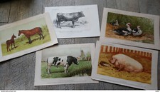 Lot gravures chromos d'occasion  Tours-