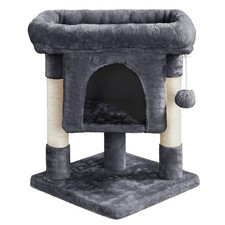 59cm small cat for sale  IPSWICH