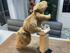 Folkmanis brown squirrel for sale  BLYTH
