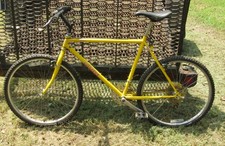 Rare yellow giant for sale  Bunker Hill