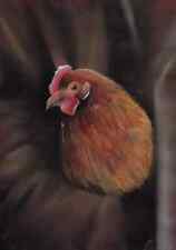 Poule pondeuse dessin d'occasion  Sélestat