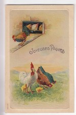 Cpa animal fantaisie d'occasion  Ménéac