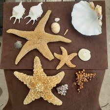Mix assorted sea for sale  Andover