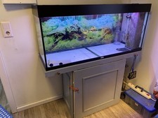 Aquarium 240l led gebraucht kaufen  Sulingen
