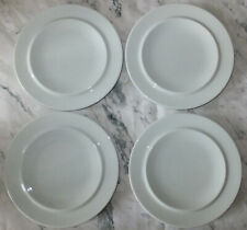Assiettes plates aile d'occasion  Châtres-sur-Cher
