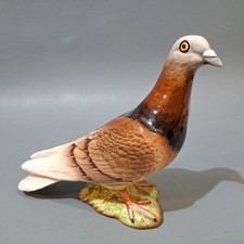 Beswick pigeon bird for sale  TAUNTON