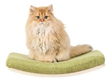 Cat wall shelves for sale  Spring Hill