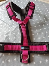 Hundegeschirr sicherheitsgesch gebraucht kaufen  Nauen