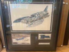 Large framed bluebird for sale  LEATHERHEAD