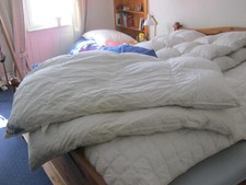 Daunensteppbett daune bitte gebraucht kaufen  Rosenfeld