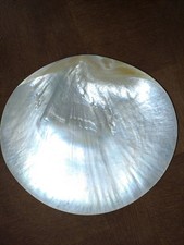 Rare grande coquille d'occasion  France