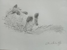 Desenho a lápis original de um gato de pêlo longo esticando em papel grão fino comprar usado  Enviando para Brazil