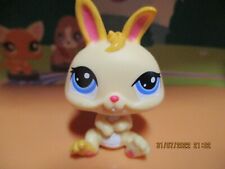 Petshop dwarf rabbit d'occasion  Expédié en Belgium
