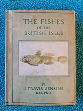 Wayside woodland fishes for sale  STROUD