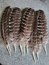 Pack feathers for sale  WELLS
