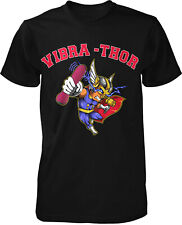 Vibra thor fun gebraucht kaufen  Burg