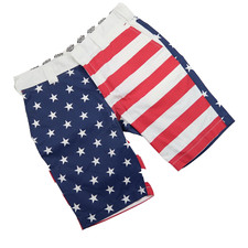 Dickies american flag for sale  HULL