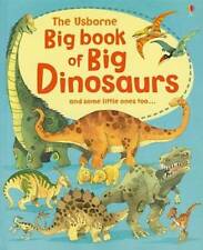 Usborne big book for sale  Montgomery