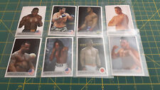 Lote de pegatinas Rafo Fighters Borci 2007 MMA UFC TRÉBOL BELFORT BARNETT OKAMI segunda mano  Embacar hacia Argentina