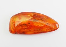 Genuine baltic amber for sale  Scranton