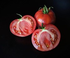 Tomate mongolische zwerg gebraucht kaufen  Berlin