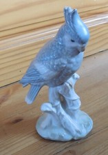 Nymphensittich porzellan figur gebraucht kaufen  Weil am Rhein