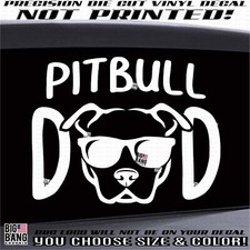 Pit bull terrier d'occasion  Expédié en Belgium