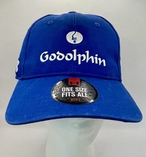 Godolphin armour blue for sale  HINCKLEY