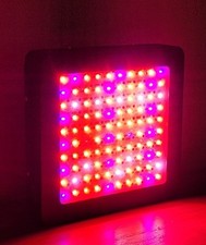 Phlizon 1200w led for sale  Menomonie