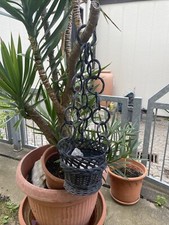Pflanzampel hängetopf rattan gebraucht kaufen  Dresden