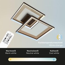 Briloner deckenleuchte led gebraucht kaufen  Delmenhorst