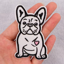 French bulldog frenchie for sale French bulldog frenchie for sale  Reno