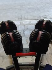 Manubri regolabili bowflex usato  Acireale