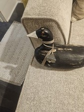 Historical antique coot for sale  Kansas City