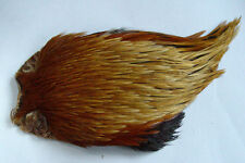 Cou coq indien d'occasion  Clermont-Ferrand-