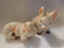 Country pigs salt for sale  Newport