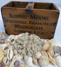 Vintage fish merchant for sale  ST. AUSTELL