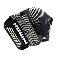 midi akkordeon gebraucht kaufen  Wollmatingen