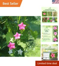 Nectar rich rose for sale  Burton