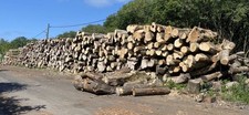 Seasoned hardwood logs for sale  DURHAM
