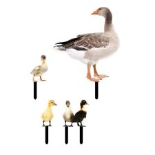 5pcs duck garden for sale  Shipping to Ireland